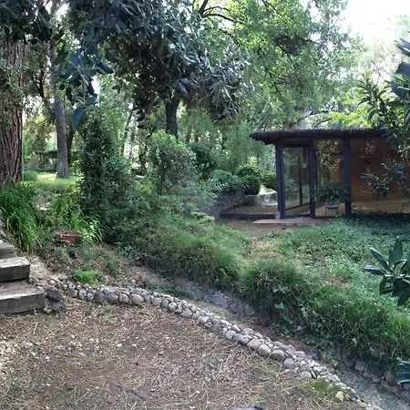 Main Villa: La Bruguera De Púbol Villa *